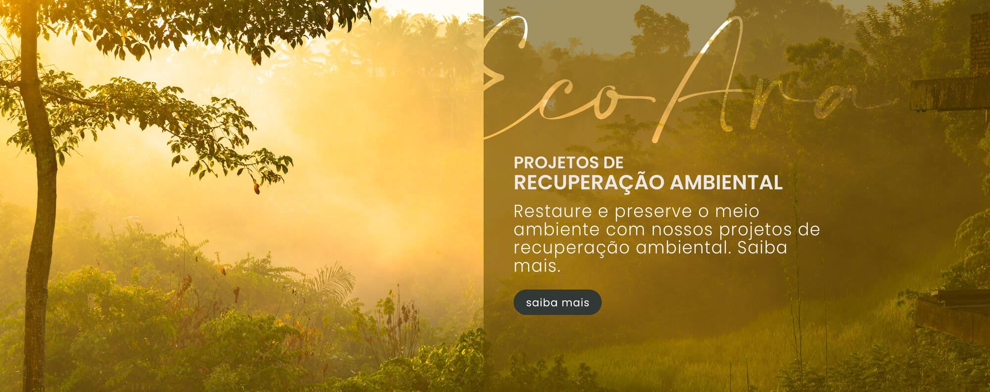 Recuperação Ambiental